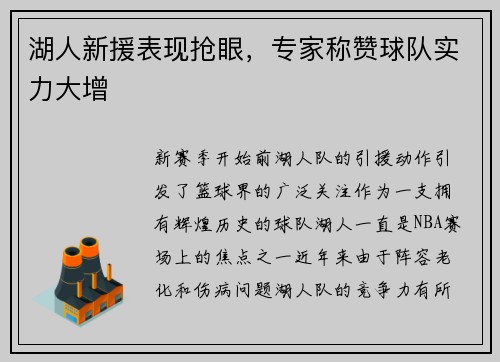 湖人新援表现抢眼，专家称赞球队实力大增